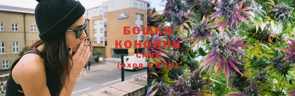 ГАЛЛЮЦИНОГЕННЫЕ ГРИБЫ Алексеевка