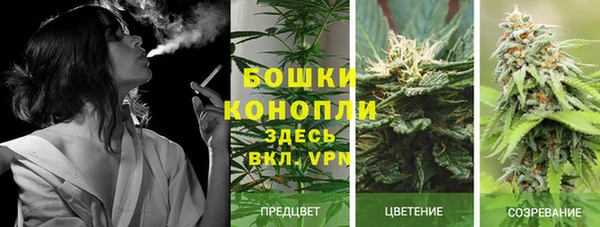 spice Алексин