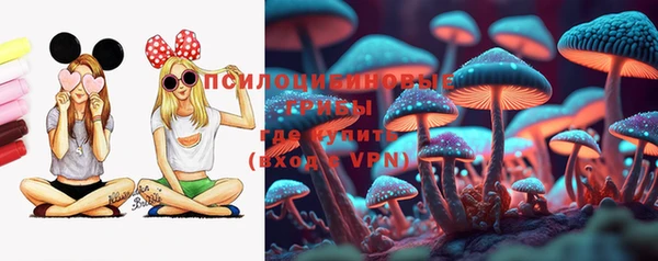 ГАЛЛЮЦИНОГЕННЫЕ ГРИБЫ Алексеевка